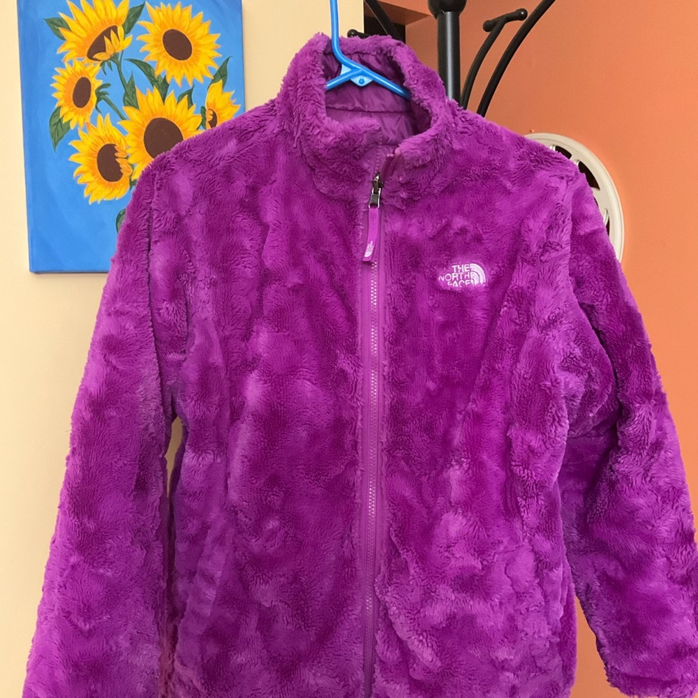 The North face Jacket sizexlarge - Picture 6 of 9